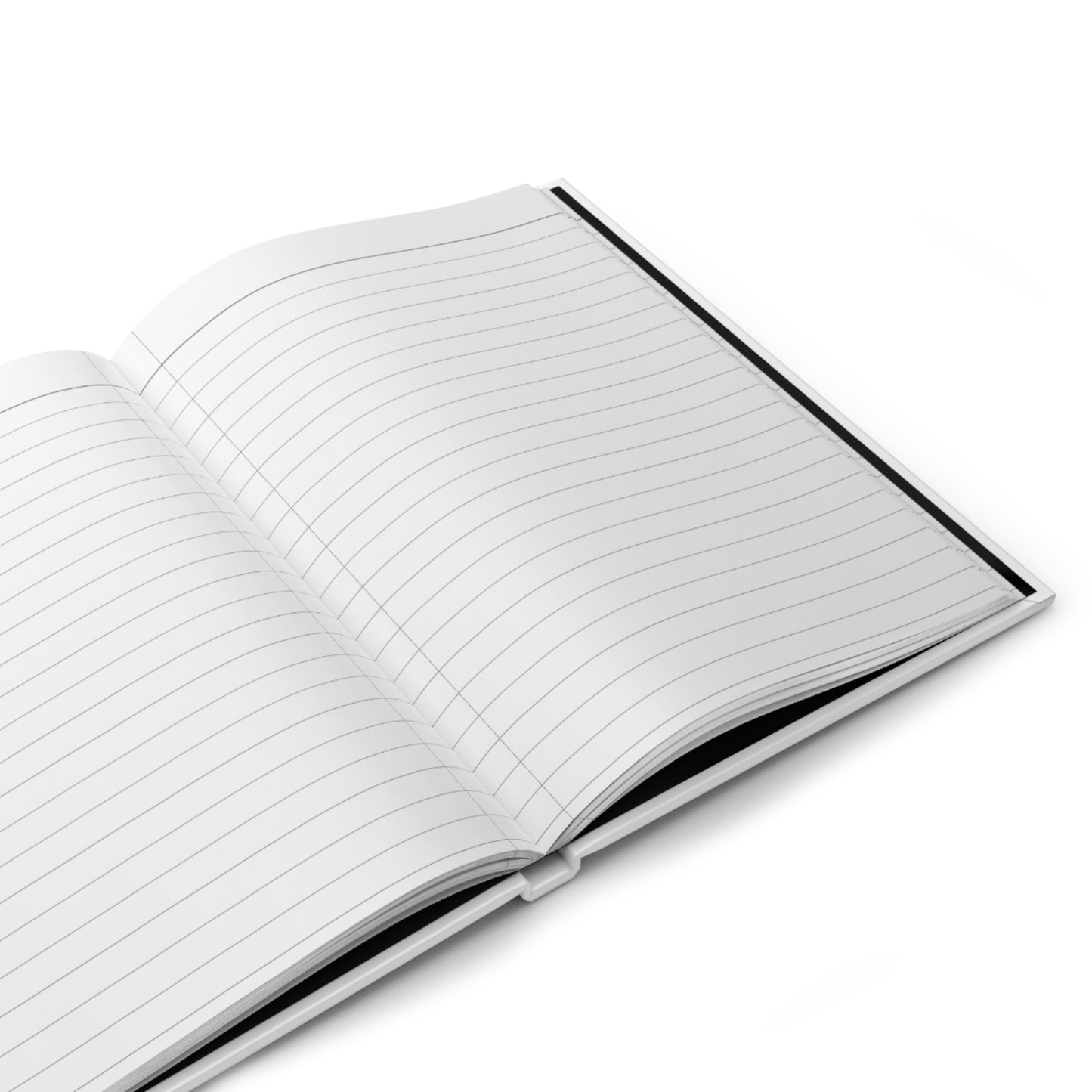 My Recipe Book (Family Favorites)